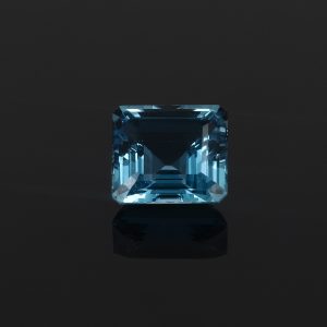 BlueTopaze_rostb001_0016_sing