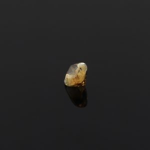 ROSCI001_0006_citrine_sing