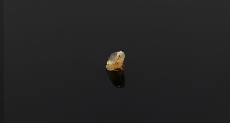 ROSCI001_0006_citrine_sing