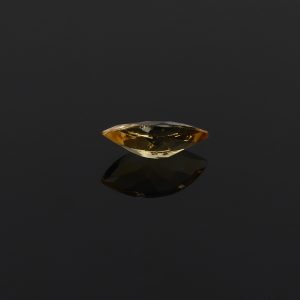 ROSCI001_0007_citrine_sing