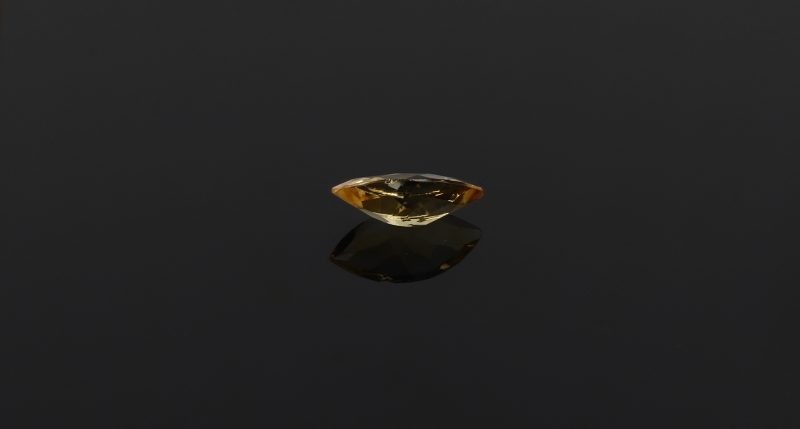 ROSCI001_0007_citrine_sing