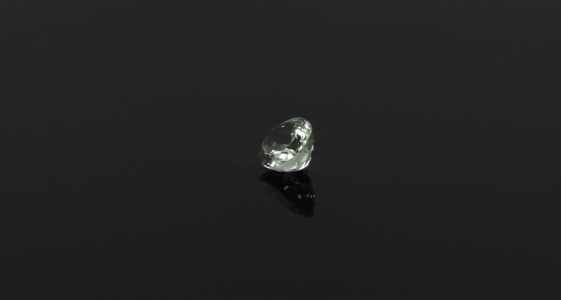 rosav0004_main_sing08